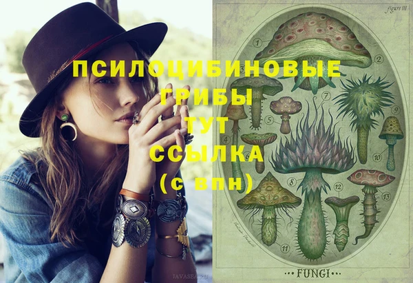 не бодяженный Михайлов